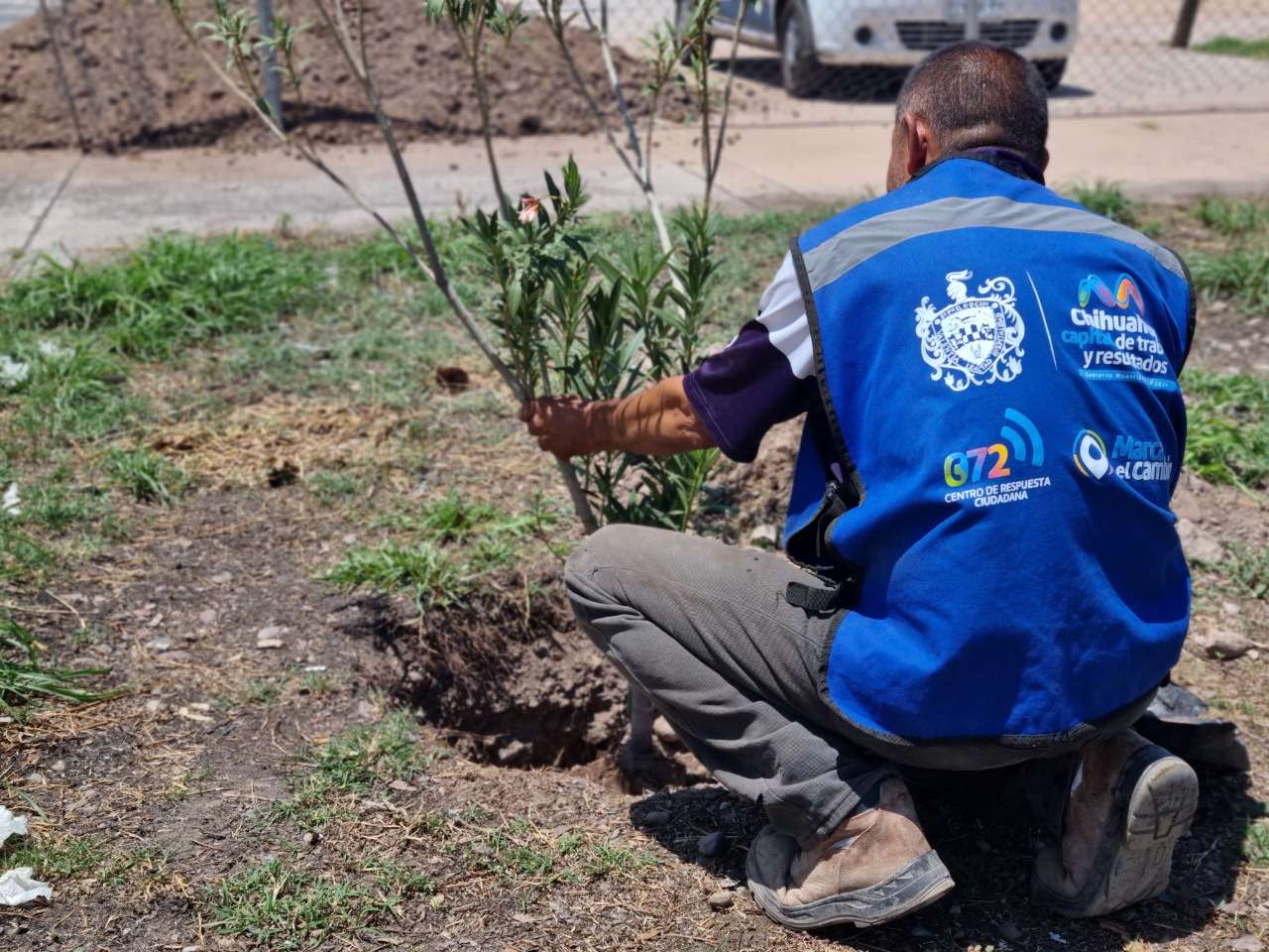 Arboriza Gobierno Municipal En M S De Parques De La Ciudad El Bordo