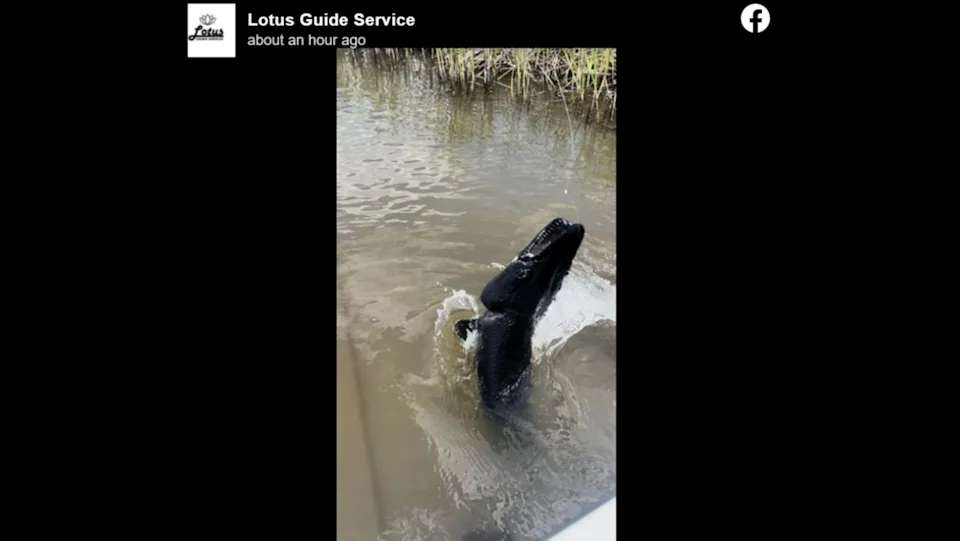 Pescan horrible catán en el suroeste de Texas