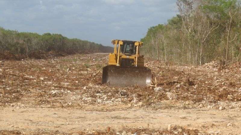 Ordena juez suspensión definitiva de obras en el tramo 5 del Tren Maya ...