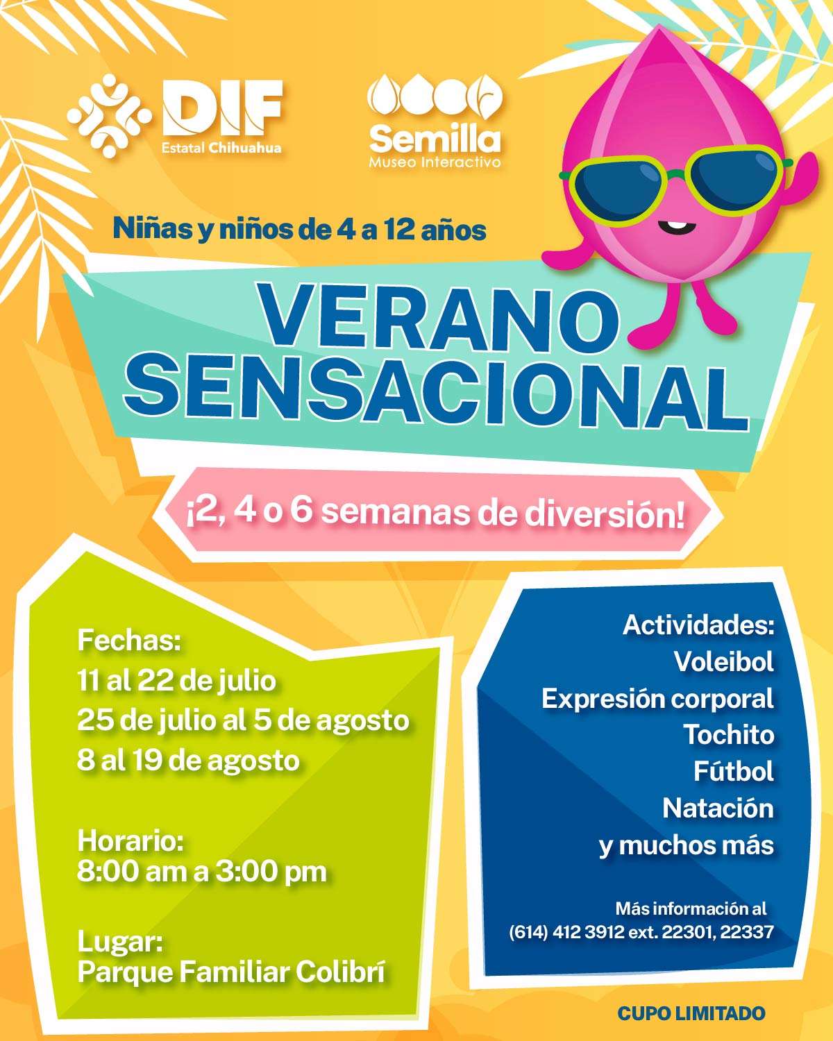 Abren inscripciones de cursos de verano para niños de 4-12 años en el DIF Estatal