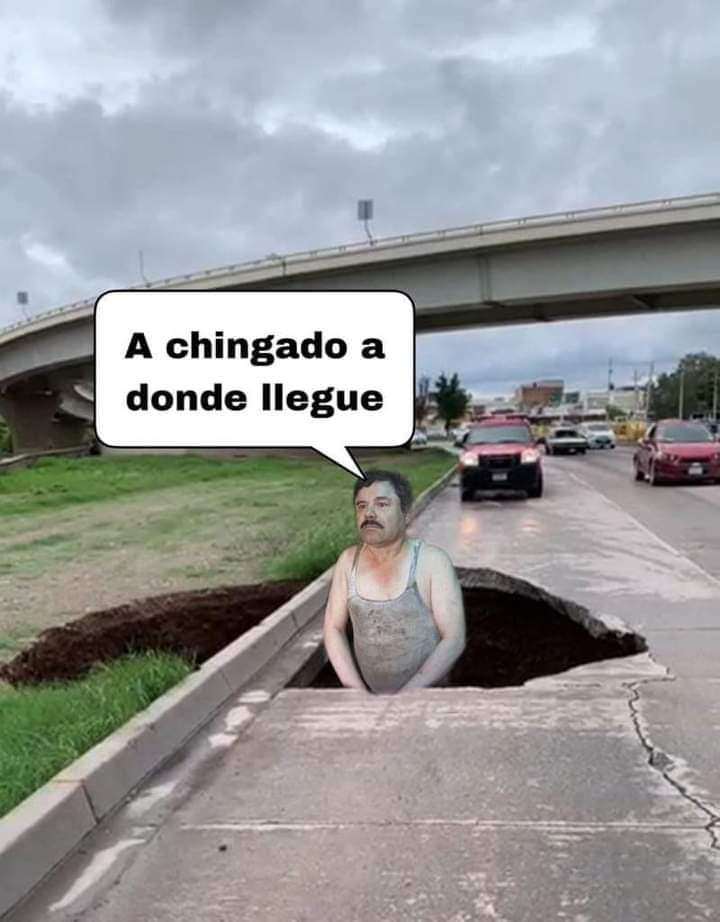 EL BACHE TÚNEL