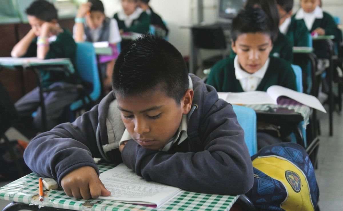 Conoce las nuevas materias de la Sep a nivel Primaria