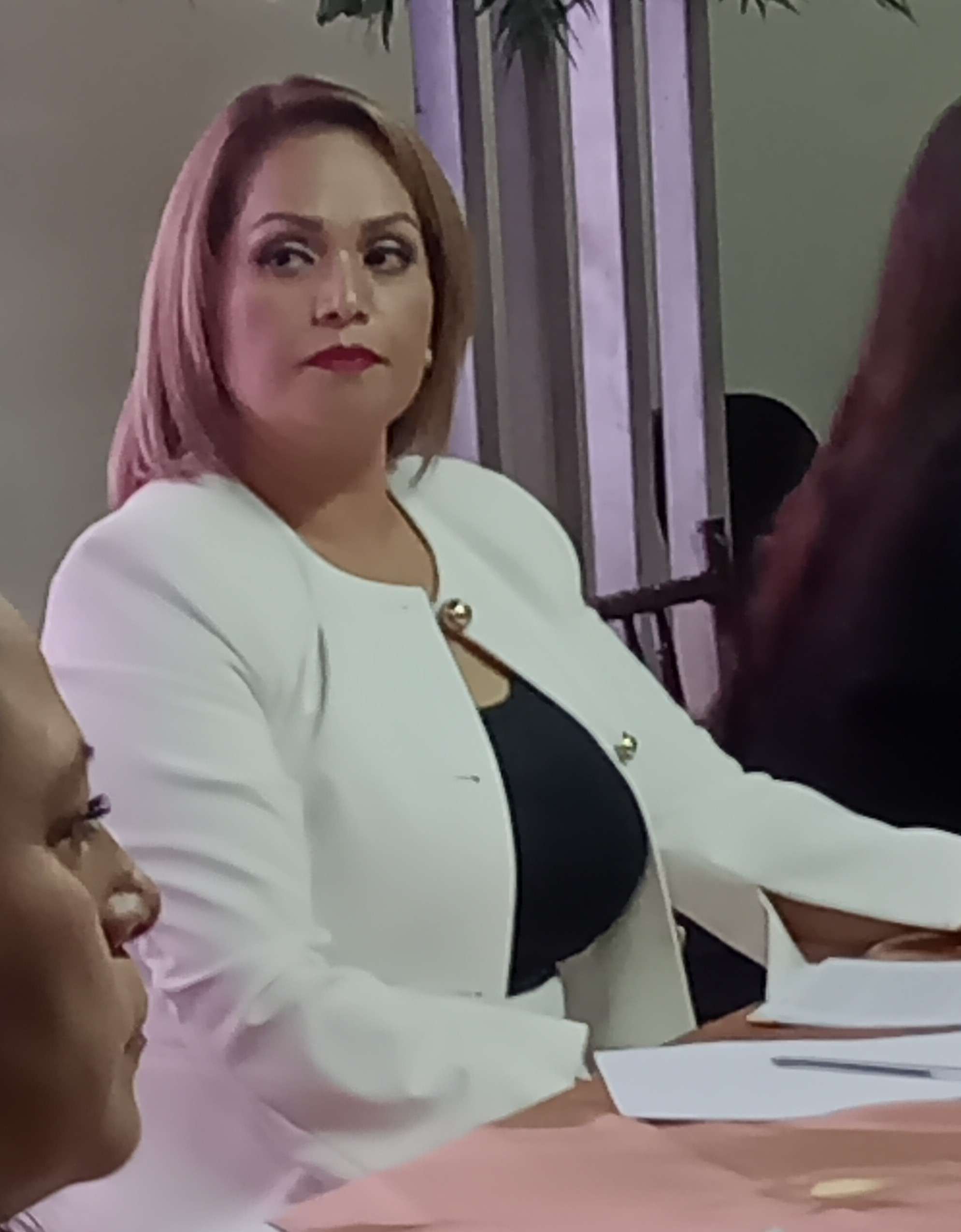 Ingobernabilidad de alcaldesa Cynthia Ceballos detona crisis en NCG y la intervención del Estado 