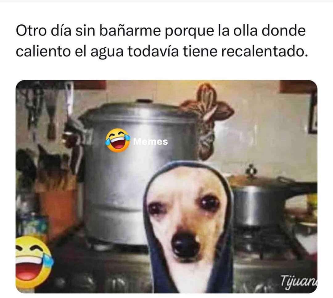 Sin bañarse 