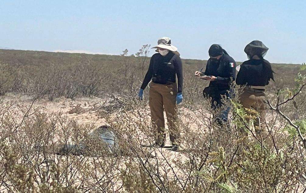 Localizan ejecutado con bolsa en la cabeza en una brecha
