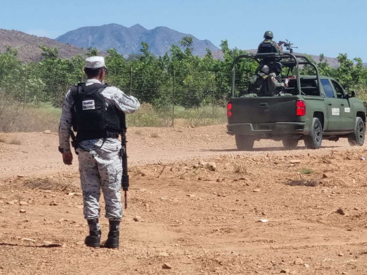 Hallan tres ejecutados en narcocampamento en el km 54 de Chihuahua a Juárez 