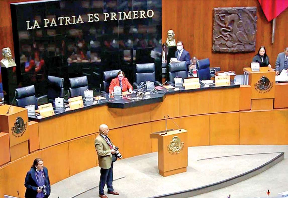 Validan reforma para que los animales tengan derechos constitucionales