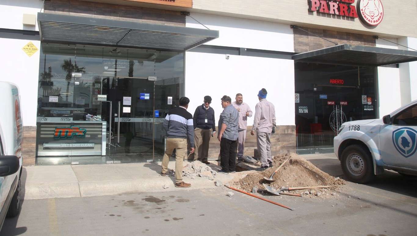 ROBA AGUA DE CUELLO BLANCO