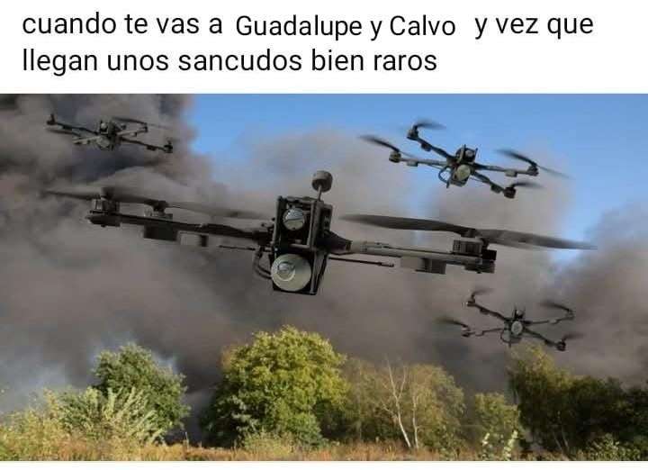 Cuando los “mosquitos” te sorprenden