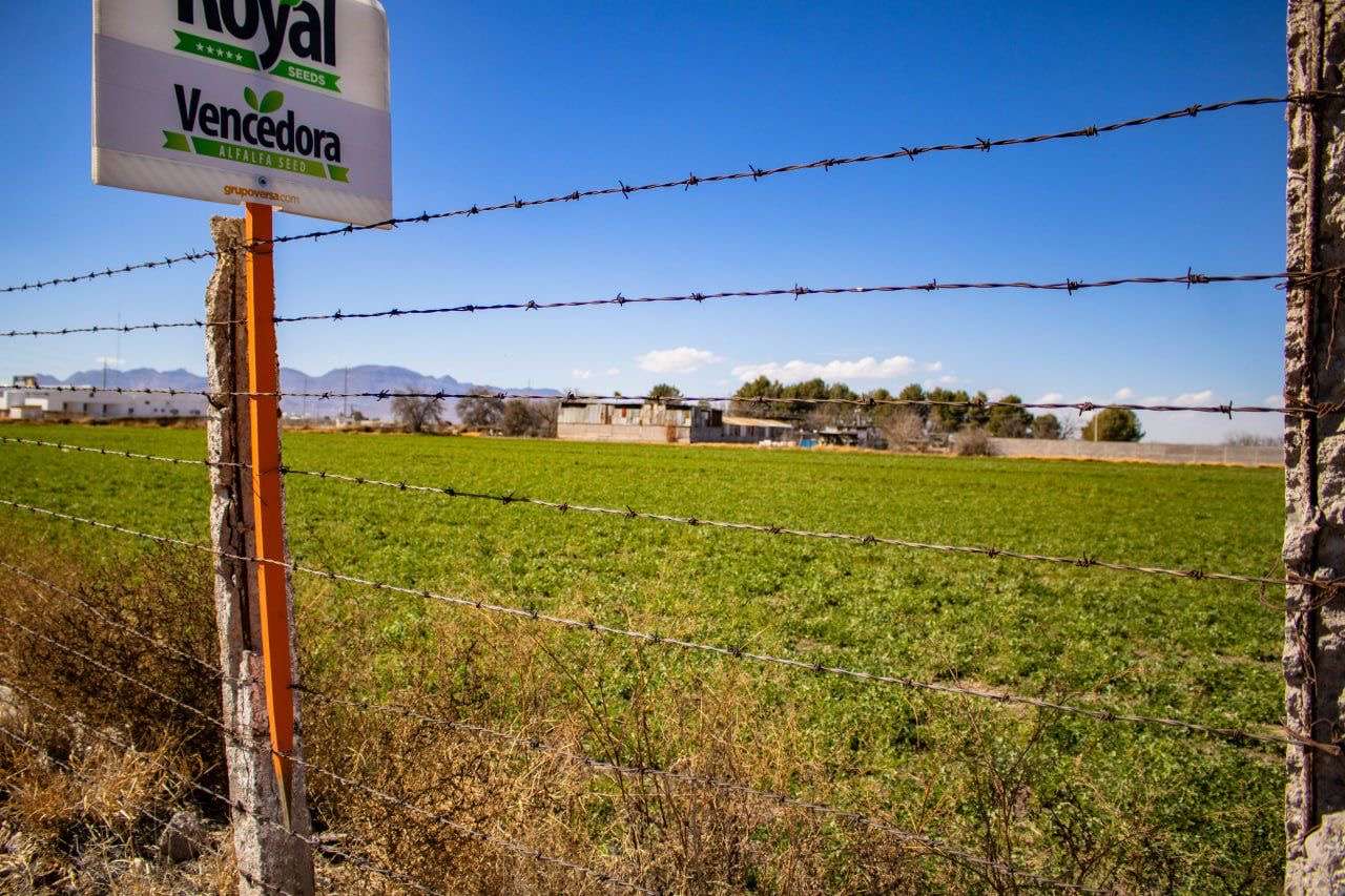 El molino de nixtamal del padre Rincón, origen del nombre de la ...