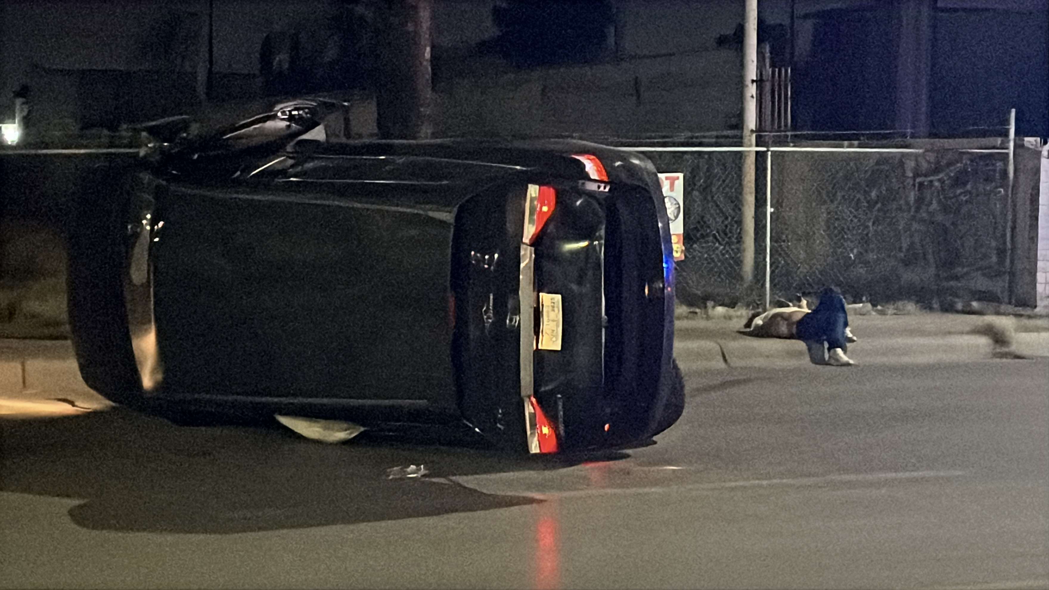 Conductor ebrio choca contra palma y vuelca su camioneta en Paseo ...