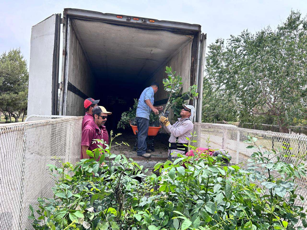 Recibe Parques y Jardines donación de 9 mil árboles por parte de