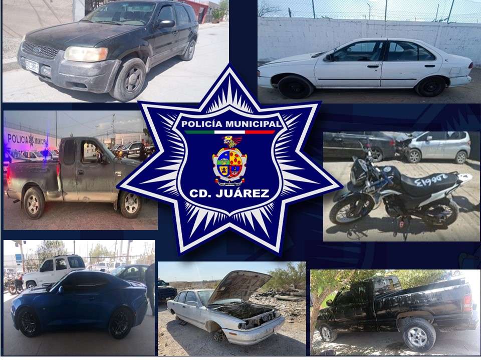 Recuperan 8 autos robados en las últimas 24 horas