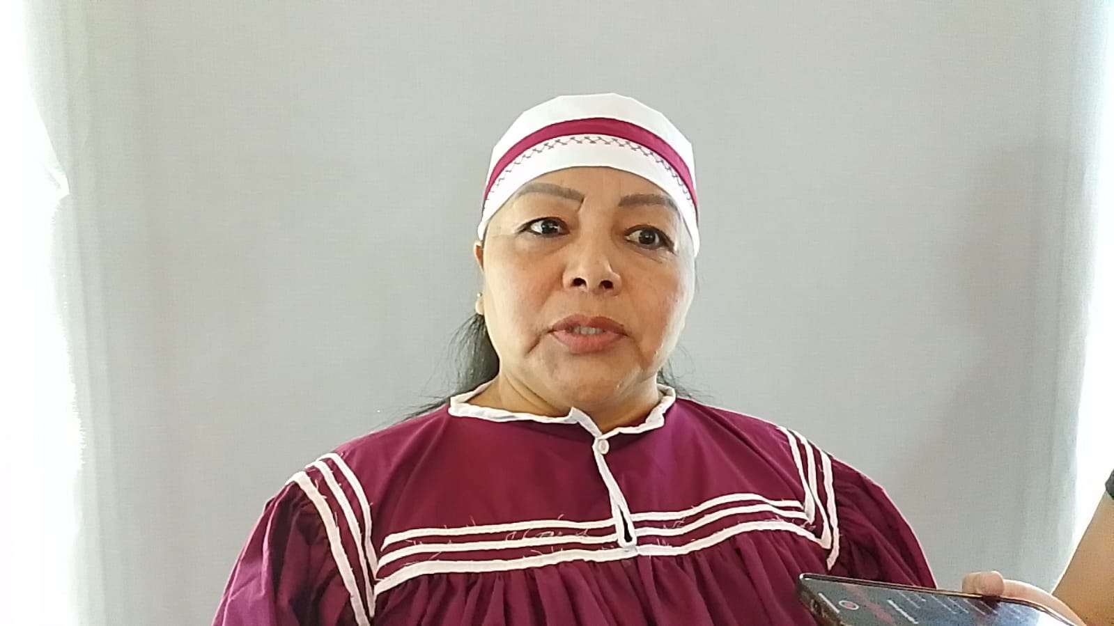 Exhorta diputada a atender violencia y desplazamiento forzado en Moris
