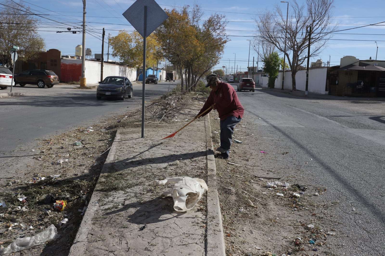 Dan mantenimiento en parques y camellón en Rincones de Salvárcar