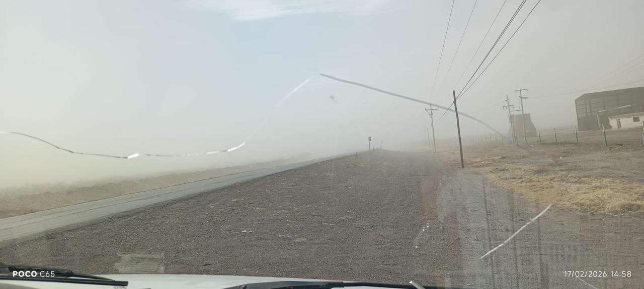 Prevén viento y descenso de temperatura para las próximas horas