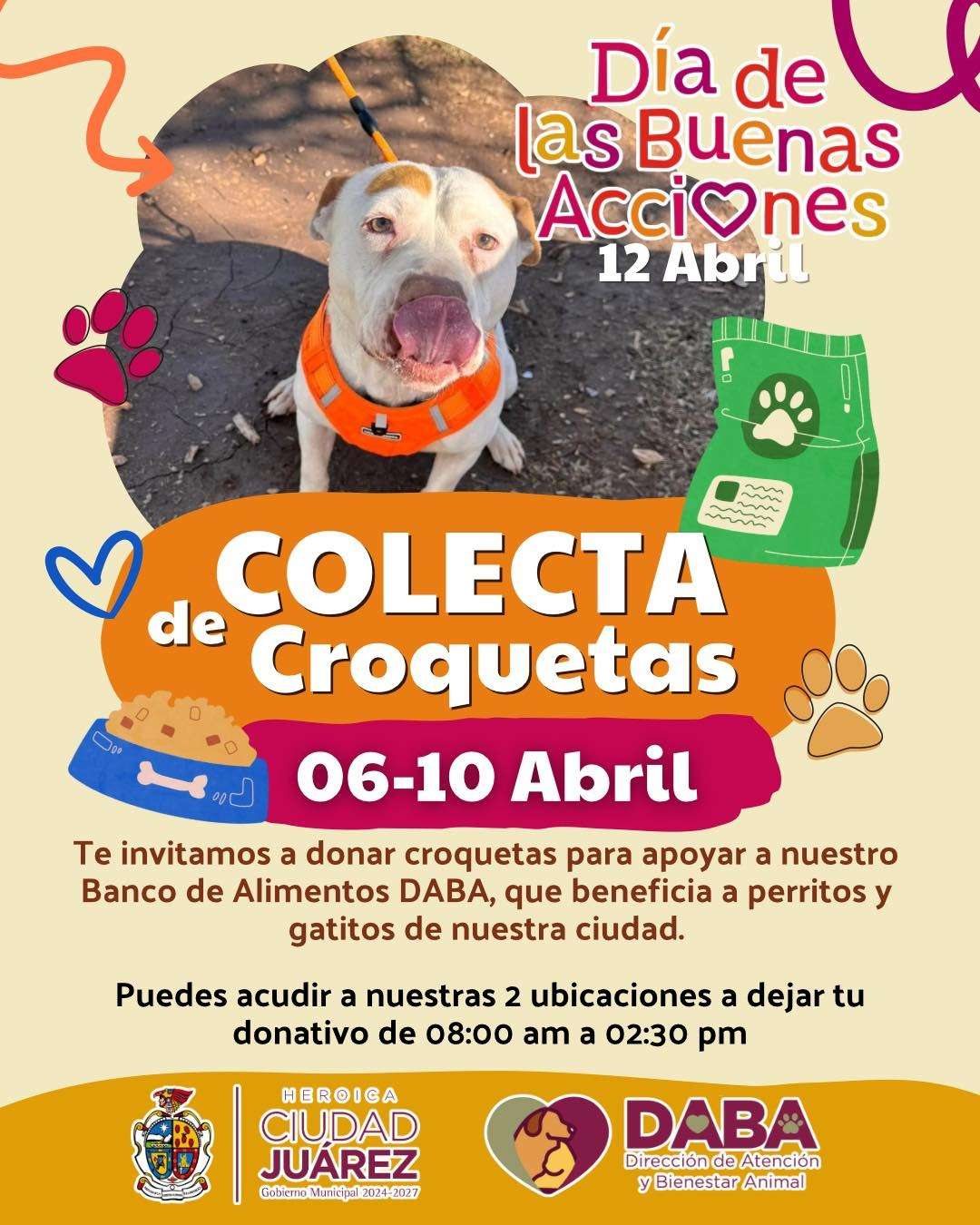 Realizará DABA colecta de croquetas