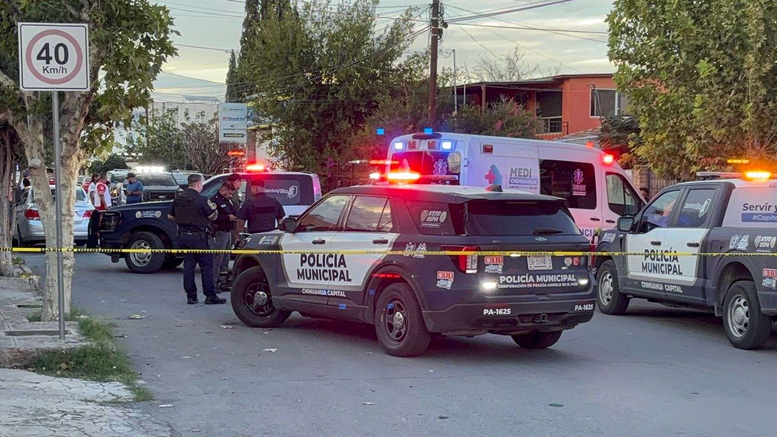 [Le aplicaron la mata león]